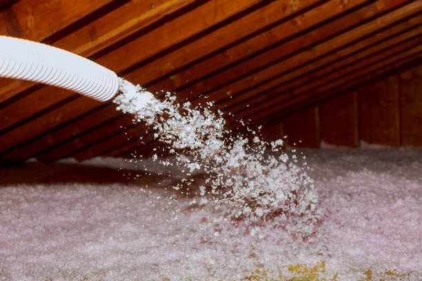 Best Energy-efficient Insulation  in Mokuleia, HI