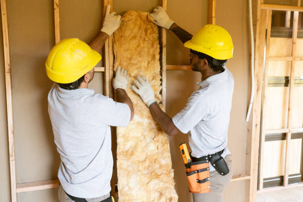 Best Energy-efficient Insulation  in Mokuleia, HI