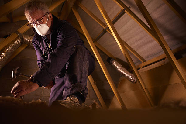 Best Attic Insulation Installation  in Mokuleia, HI